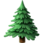 arbore conifer Emoji (Apple)