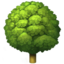 arbre à feuilles caduques Emoji (Apple)