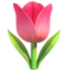 tulipan Emoji (Apple)