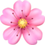 Cherry Blossom Emoji (Apple)