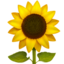 girasole Emoji (Apple)