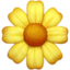 florescer Emoji (Apple)