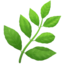 herba Emoji (Apple)