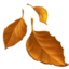 feuille morte Emoji (Apple)