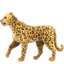 leopardo Emoji (Apple)