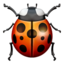 Lady Beetle Emoji (Apple)