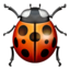 Lady Beetle Emoji (Apple)