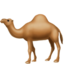 Camel Emoji (Apple)