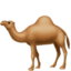 Camel Emoji (Apple)