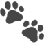 Paw Prints Emoji (Apple)