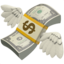 Money With Wings Emoji (Apple)