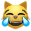 Cat Face With Tears Of Joy Emoji (Apple)