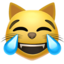 kot ze łzami radości Emoji (Apple)