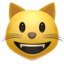 muka kucing tersengih Emoji (Apple)