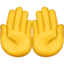 beide handpalmen omhoog Emoji (Apple)