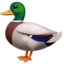 canard Emoji (Apple)