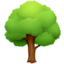 arbre à feuilles caduques Emoji (Facebook)