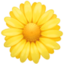 fiore Emoji (Facebook)