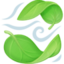 Leaf Fluttering In Wind Emoji (Facebook)