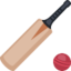 Cricket Game Emoji (Facebook)