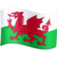 flagga: Wales Emoji (Facebook)