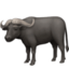 Water Buffalo Emoji (Facebook)