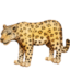 leopardas Emoji (Facebook)