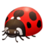 Lady Beetle Emoji (Facebook)