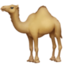 Camel Emoji (Facebook)