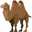 Two-Hump Camel Emoji (Facebook)