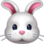 Rabbit Face Emoji (Facebook)