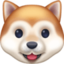 rosto de cachorro Emoji (Facebook)