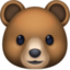 Bear Face Emoji (Facebook)