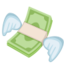 Money With Wings Emoji (Facebook)