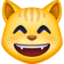 tête de chat qui sourit avec des yeux rieurs Emoji (Facebook)