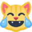 Cat Face With Tears Of Joy Emoji (Facebook)