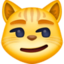 kattansikte med snett leende Emoji (Facebook)