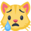 Crying Cat Face Emoji (Facebook)