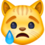 tête de chat qui pleure Emoji (Facebook)