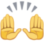 Raising Hands Emoji (Facebook)