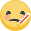 Face With Thermometer Emoji (Facebook)