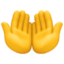 dłonie do góry razem Emoji (Facebook)