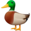 canard Emoji (Facebook)