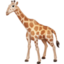 Giraffe Emoji (Facebook)