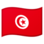 Tunisia Emoji (Google)