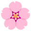 körsbärsblomma Emoji (Google)