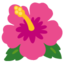 hibiskus Emoji (Google)