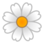 Blossom Emoji (Google)