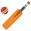 Cricket Game Emoji (Google)