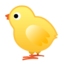 Baby Chick Emoji (Google)